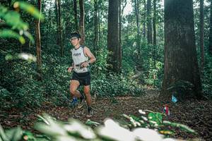 BIB: 
                            <button type="button" onclick="openModal(26068380)" class="btn btn-primary btn-sm float-right btn-popup" data-toggle="modal" data-target=".modal-high-quality">
                        <i class="fas fa-shopping-cart"></i> Add to Cart
                    </button>
                                            <button type="button" onclick="isThisMe(26068380, true)" class="btn btn-success btn-sm float-right btn-popup btn-isme hidden" data-toggle="tooltip" data-placement="bottom" title="นี่คือรูปของคุณใช่ไหม คลิกที่นี่เพื่อเอาเข้าอัลบั้ม">
                        <i class="fas fa-plus"></i> Add to album
                    </button>
                    <button type="button" onclick="isThisMe(26068380, false)" class="btn btn-warning btn-sm float-right btn-popup btn-isnotme hidden">
                        <i class="fas fa-ban"></i> Remove from album
                    </button>